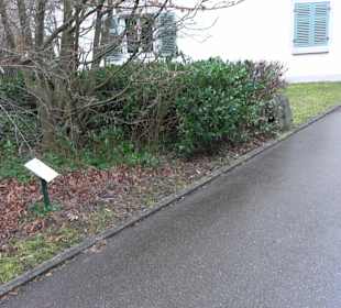Friedhof Rommelsbach