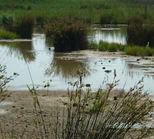 Natutpark S´Albufere