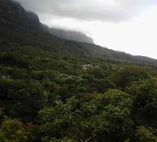 Botanischer Garten Kirstenbosch
