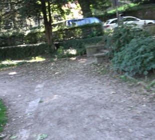 Stadtgarten Heidelberg