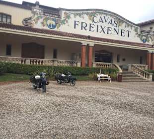 Besuch bei Freixenet in Barcelona
