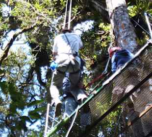 Canopy-Tour