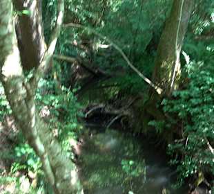 Rundwanderung Klingenbachtal - Sulzbachsee