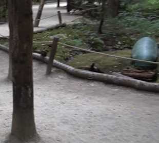 Dinosaurier Museum Altmühltal