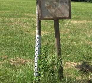 Eduard Lucas Musterobstgarten Mähringen