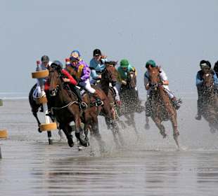 Einzig in der Welt-Pferderennen auf Meeresgrund