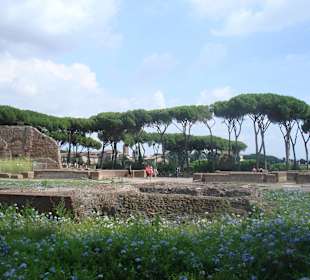 Forum