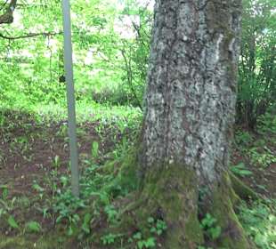 Gebetsgarten Heiligenbronn