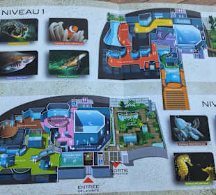 Plan des Aquariums
