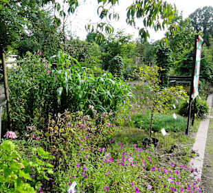 Rundgang durch den Botanischen Garten Oldenburg