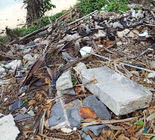 Schmutz und Abfall