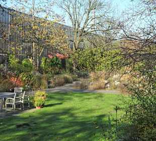 Rundgang durch den Botanischen Garten Hamburg