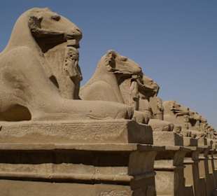 Sphingen am Eingang von Karnak