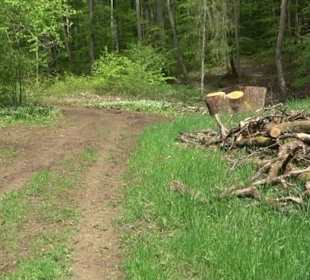 Naturpark Schönbuch