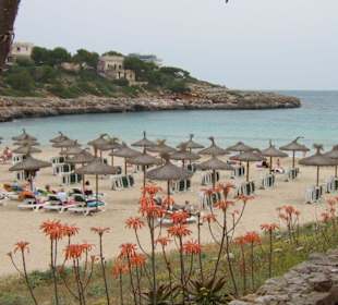 Der Strand ca 100m vom Hotel entfernt