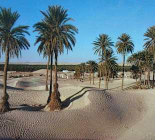 Zehn Minuten vom Hotel in der Wüste