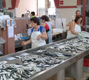 Frisch aus dem Atlantik