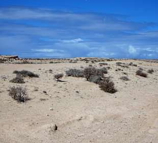 Eindrücke von der Wanderung durch den Istmo