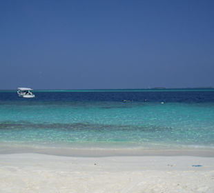 Island Hopping