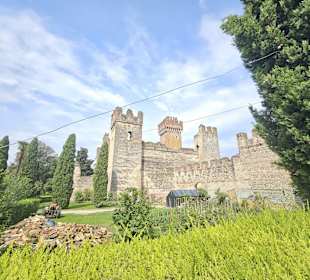 Scaligerburg