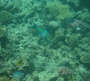 Ausflug halbes U-Boot