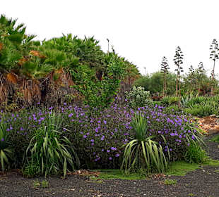 Botanischer Garten Viveiro