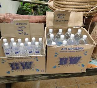 Wildlife Expeditions