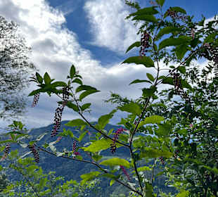 Sonstiges