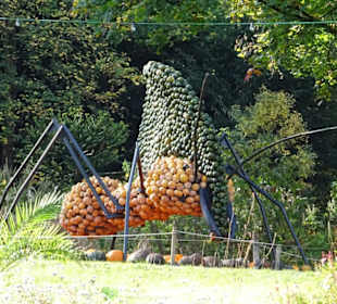 Kürbisausstellung