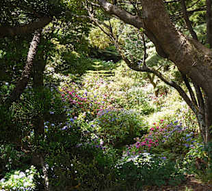 Auch schattige Plätze gibt es