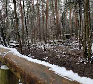 Schräg über dem Zaun