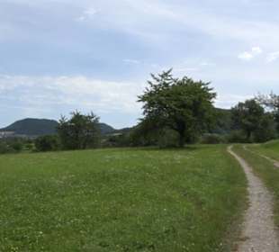 Premiumspazierweg Früchtetrauf-Leisawegle