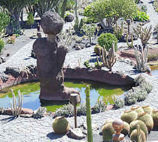 Jardin de Cactus / Kaktusgarten Guatiza