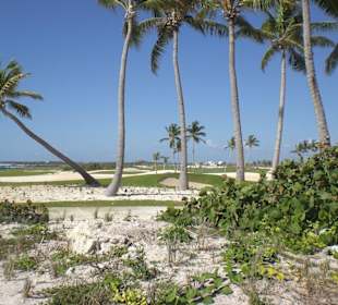 Quad Tour, Bavaro Runners