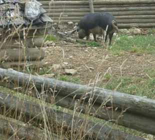 Interessantes Museum