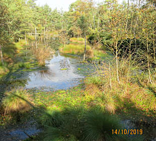 Wandern Schneverdingen