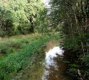 Gräben durch das Moor