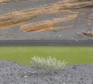 Charco de los Clicos 