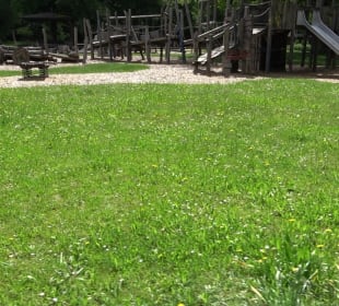 Spiel und Grillplatz Altensteig