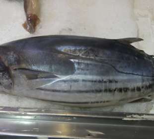 Bunter Markt in Santa Cruz