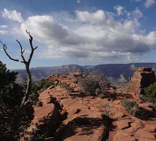 Гранд Каньон - Кайбаб трек
