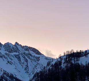 Ausblick