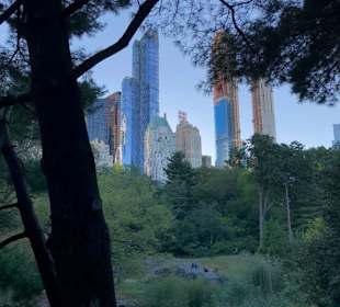 Skyline upper east side central prk