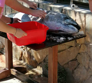 Stadtrundgang Agia Galini