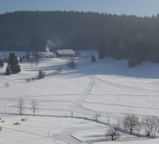 Dorf Herrenschwand, hat nur das Restaurant Waldfrieden