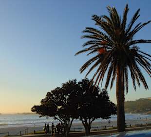 Hop On Hop Off Stadtrundfahrt in Kapstadt