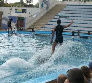 Marineland Mallorca