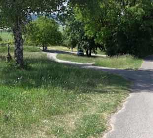 Früchtetrauf - Wurmlinger Kapellenwegle