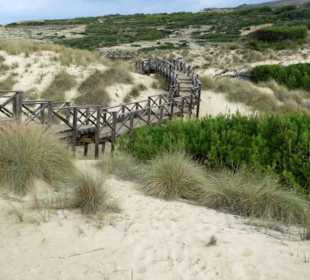 Holzsteg durch die Sanddünen