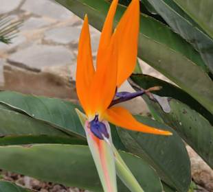 Wandern Can Picafort